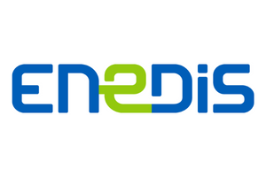 Logo Enedis Label Numérique Responsable